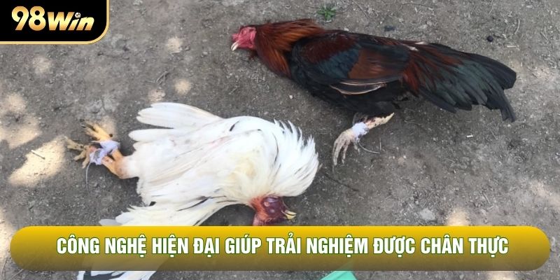 Công nghệ hiện đại giúp trải nghiệm được chân thực Công nghệ hiện đại giúp trải nghiệm được chân thực