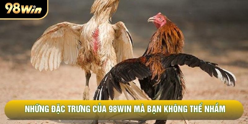 Những đặc trưng của 98WIN mà bạn không thể nhầm Những đặc trưng của 98WIN mà bạn không thể nhầm