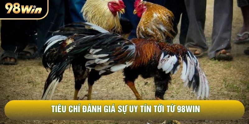 Tiêu chí đánh giá sự uy tín tới từ 98WIN Tiêu chí đánh giá sự uy tín tới từ 98WIN